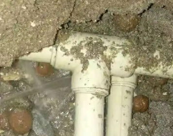 黎平测漏水多少钱