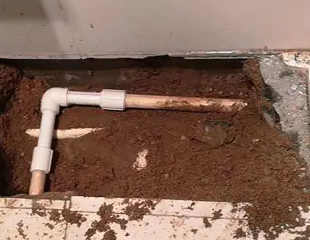 黎平测漏水哪家好