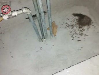 黎平卫生间测漏水价格明细