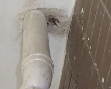 黎平漏水检测哪家好